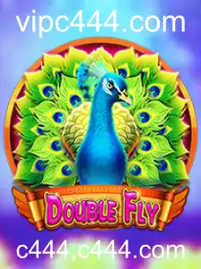 Explorando o Mundo de DoubleFly: Uma Aventura Aérea Incomparável