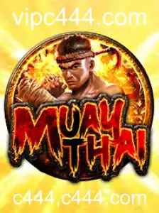 Descobrindo MuayThai: Regras e História do Jogo